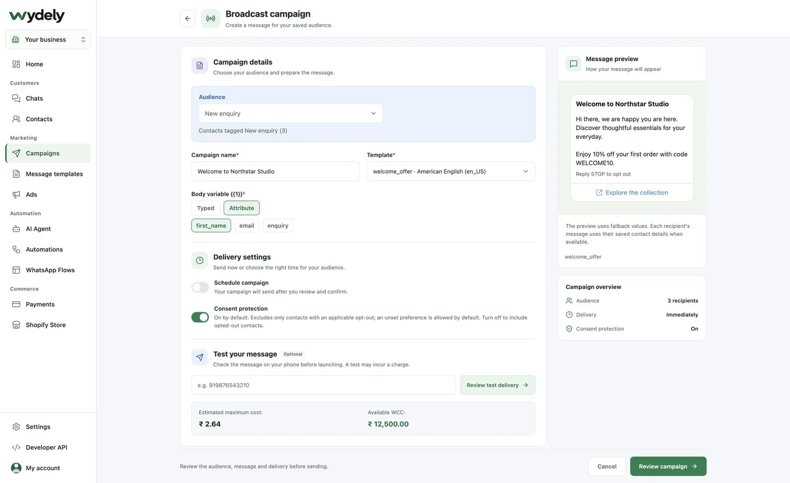 Wydely campaign setup with a tagged audience, template variables and message preview
